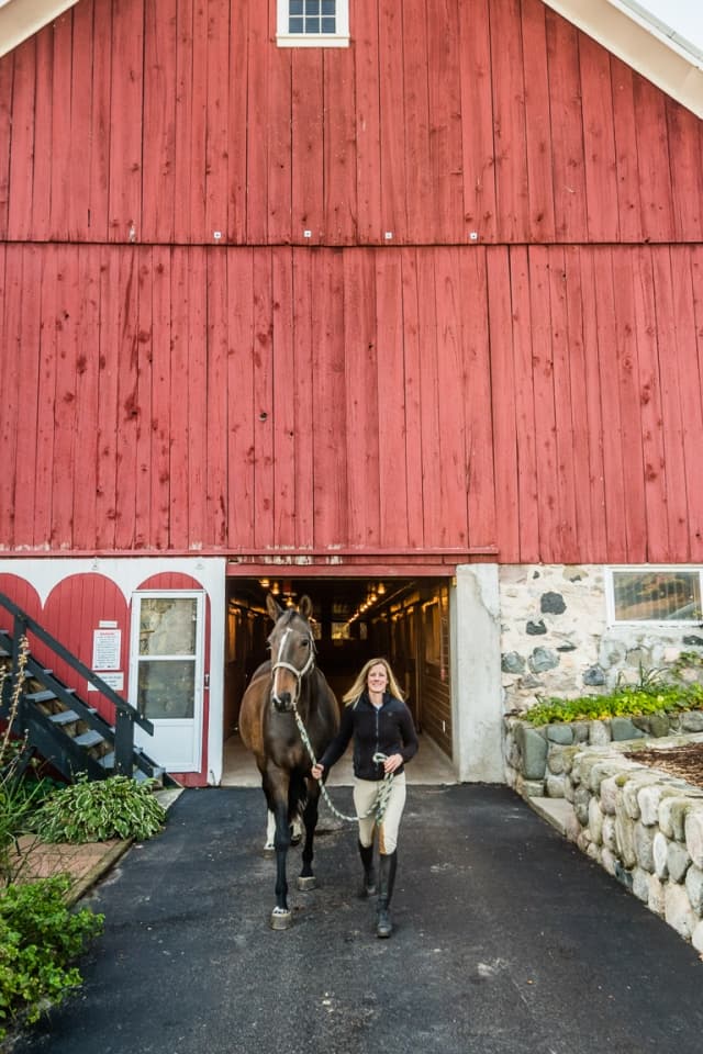 woman with horse