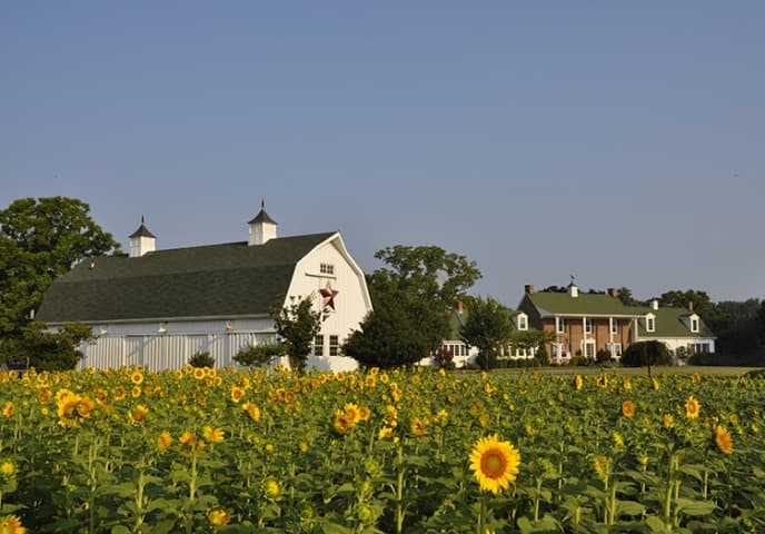 Inn at Huntingfield Creek Exterior