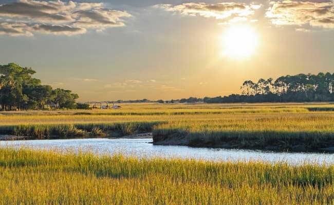 sun shining over marshy area in South Carolina