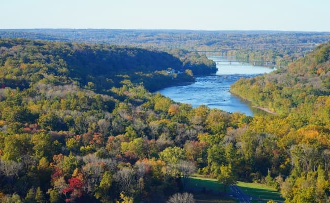 an aerial view of a river surrounded by trees at Bucks County