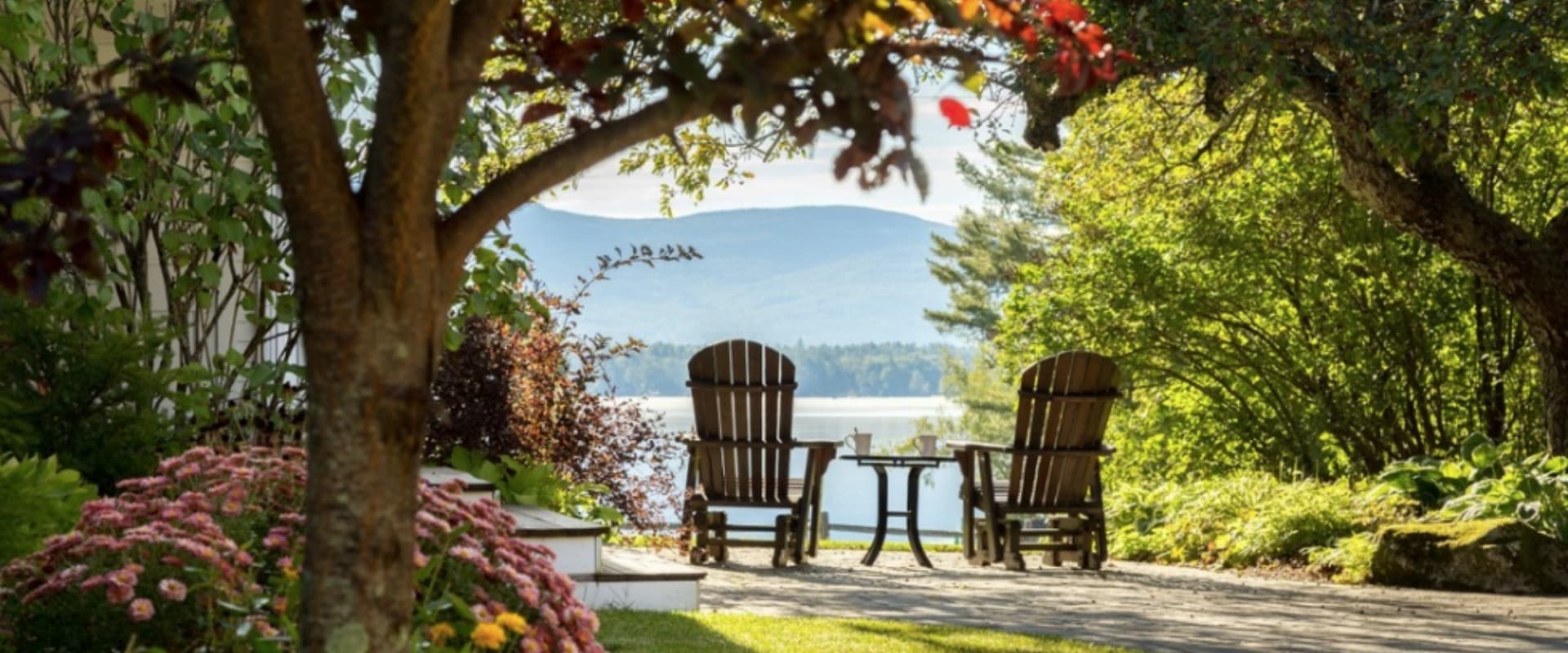 Lawn chair beneath a tree overlooking a lake.