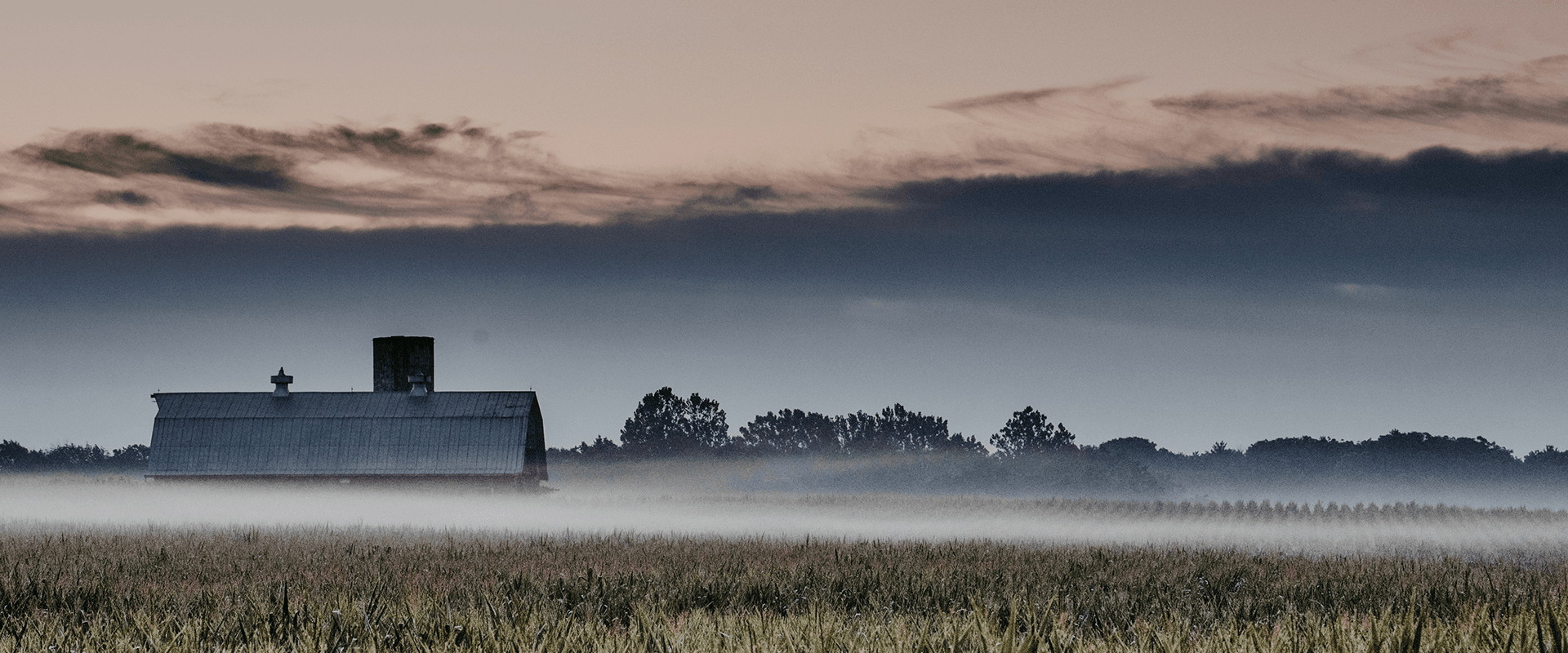 farm In the Midwest with fog hovering over the land