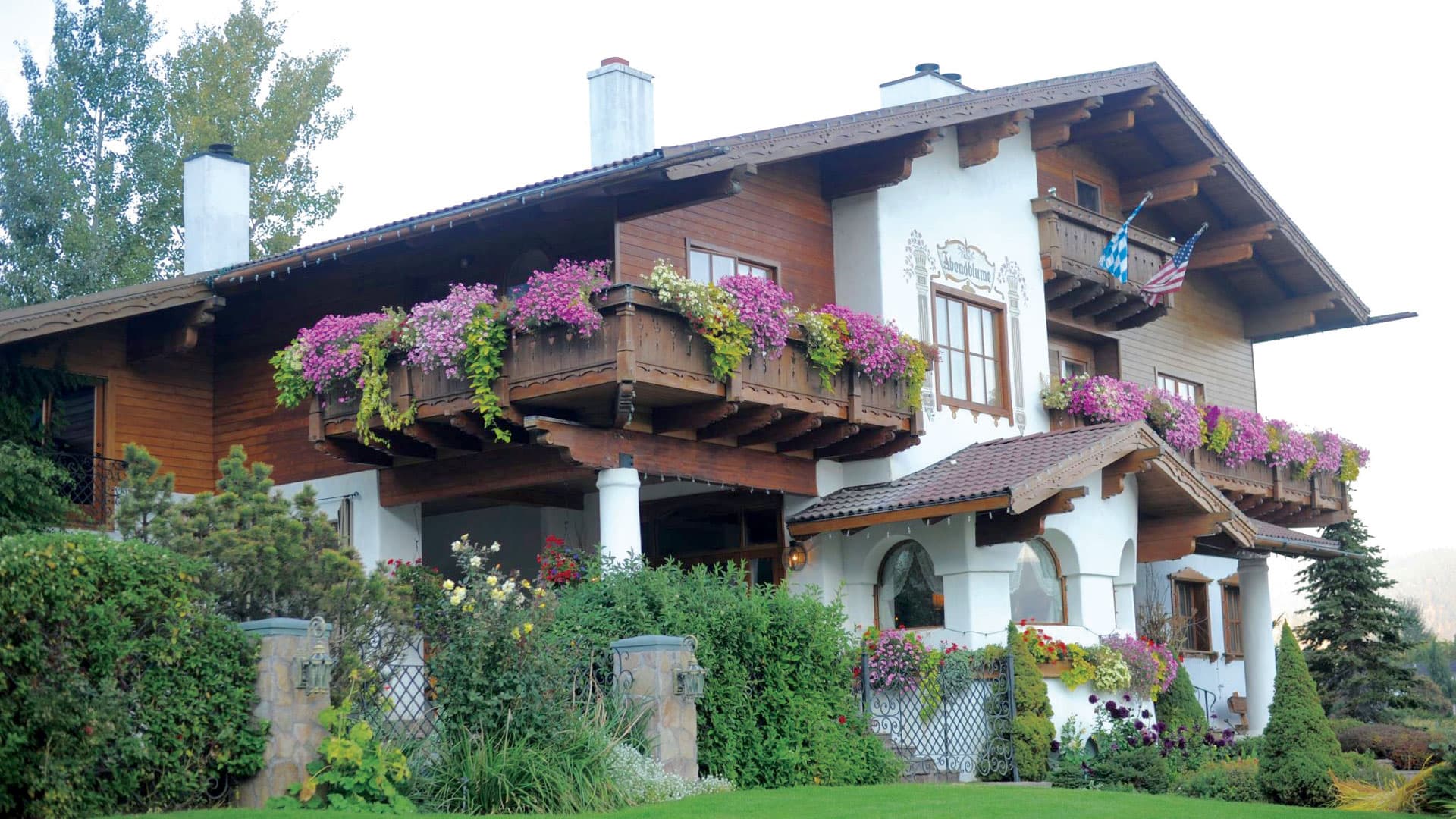 Abendblume with colorful flowers