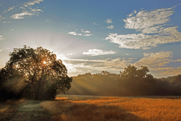 Shiloh Morning Inn sunrise