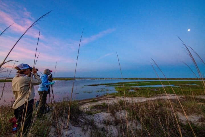 Lodge on LIttle St Simons outdoor water view
