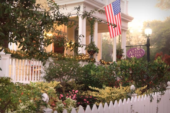 Azalea sign