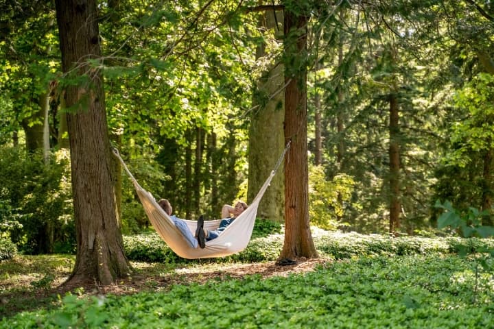 southmountain hammock