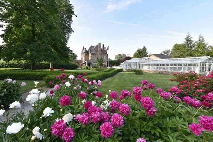 Buhl garden