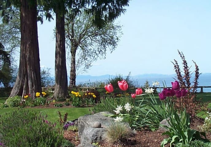 Spring Into Summer