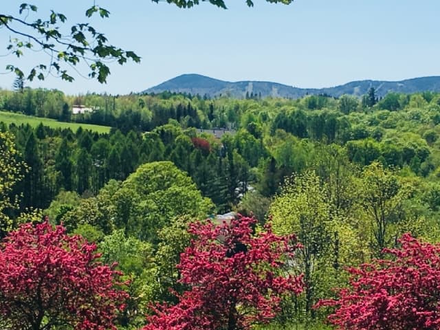 mountain view