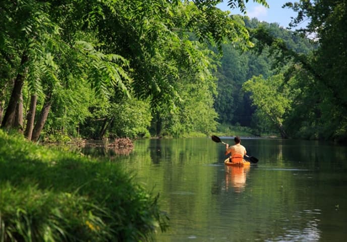 Kayaking on a river with trees in the background