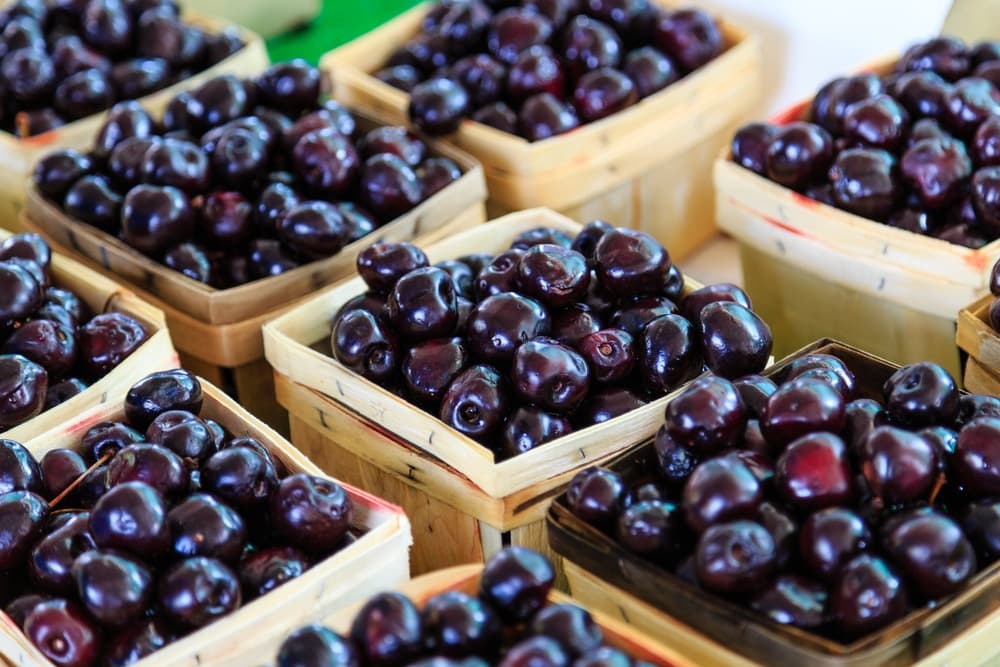 Traverse City is the cherry capital of the world - and accordingly, home to some of the best Michigan wineries!