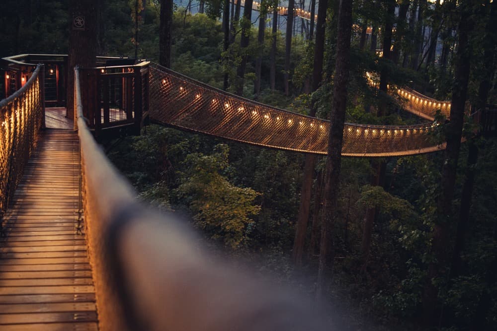 This beautiful treetop walkway is one of many wonderful things to do in Gatlinburg TN This fall