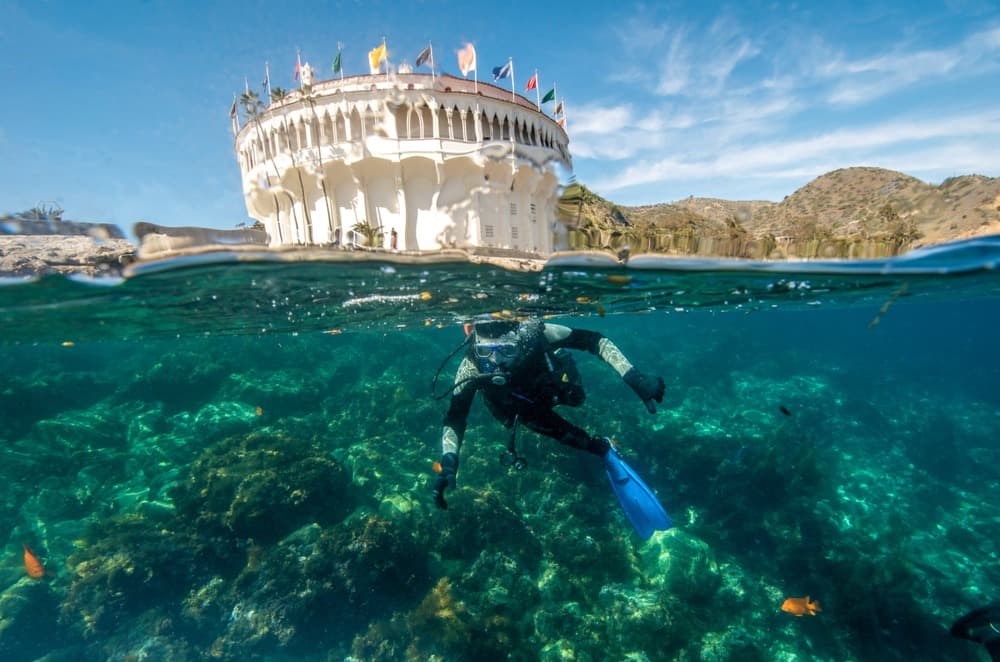 One of the top things to do in Catalina Island is snorket at Casino Point