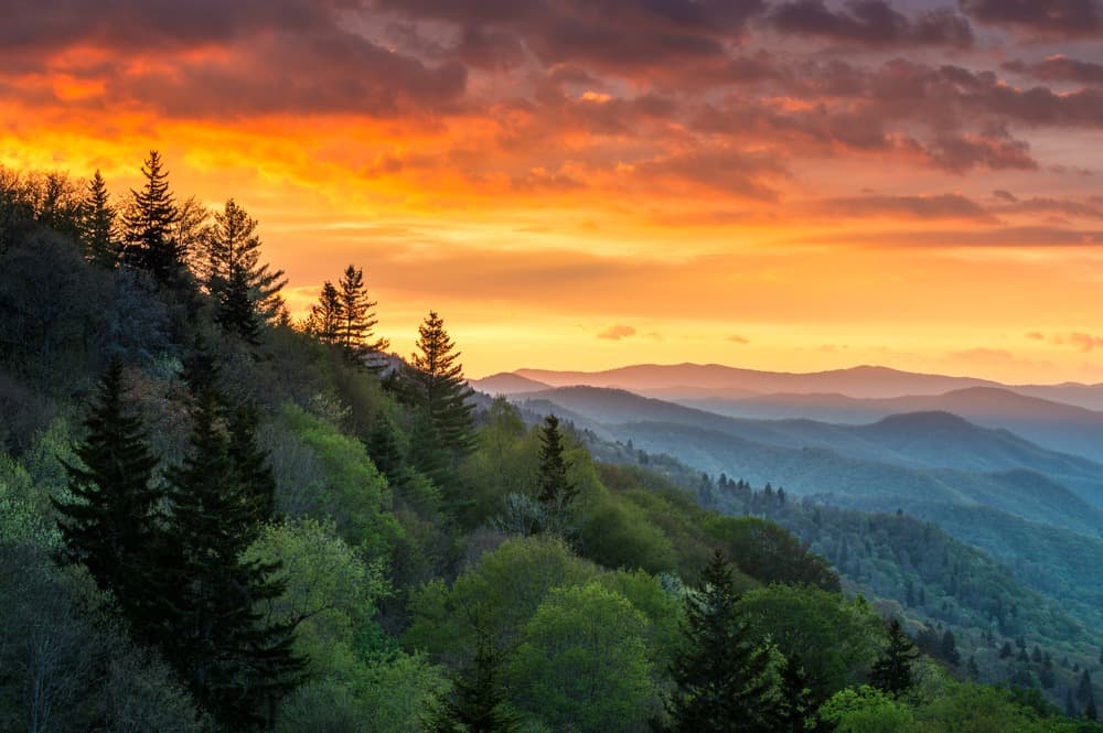 When it comes to things to do in Gatlinburg TN This fall, you can't miss a visit to Great Smoky Mountain National Park