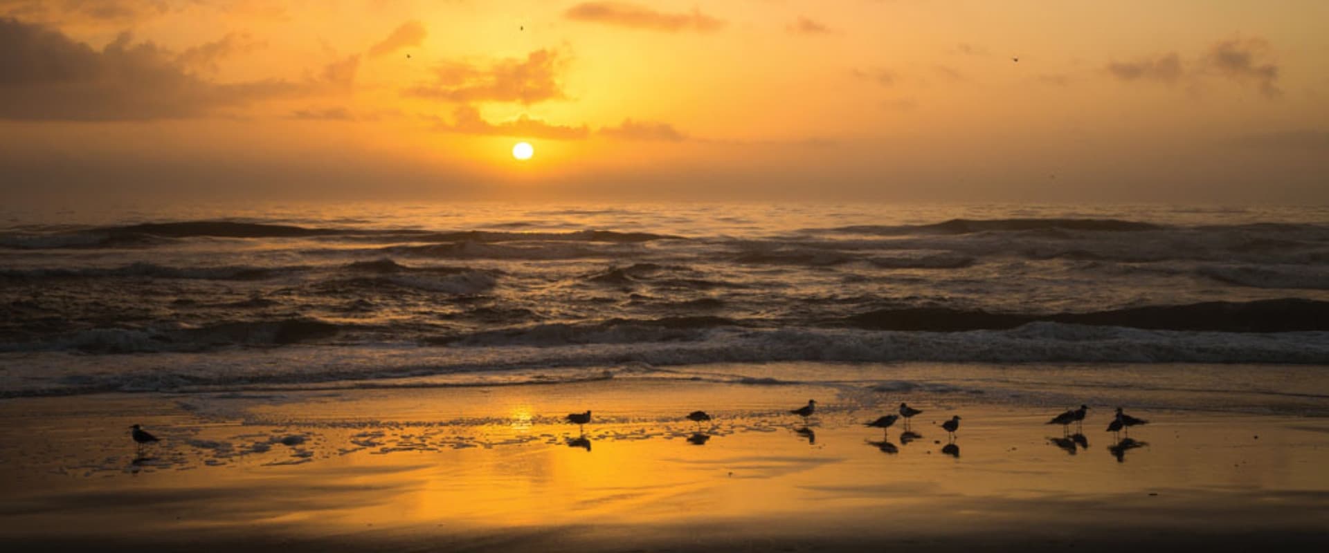 1686316490-Southeast-Header-Image-1920x800_desktop-1